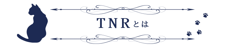TNRとは?