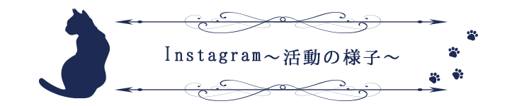 いかるがソラネコ会活動へのご協力